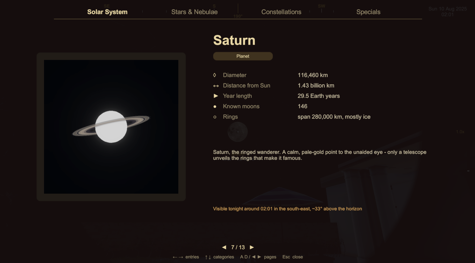 Stargazer beeld 3 van 3